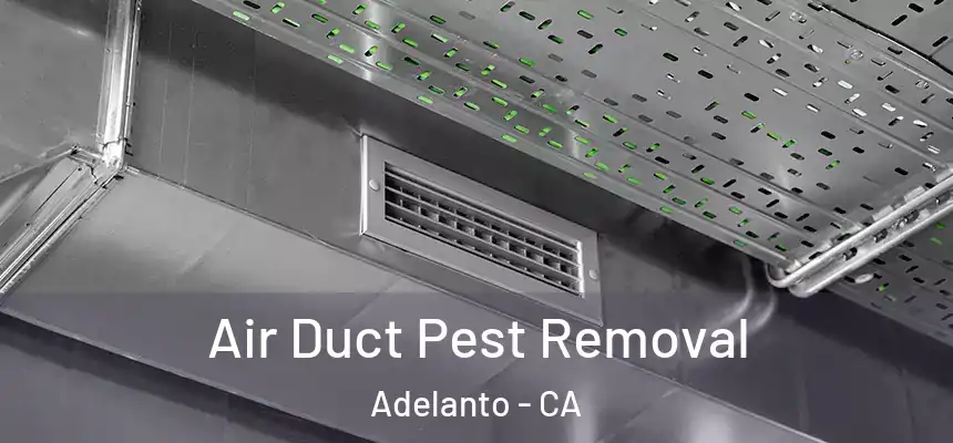  Air Duct Pest Removal Adelanto - CA