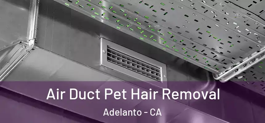 Air Duct Pet Hair Removal Adelanto - CA