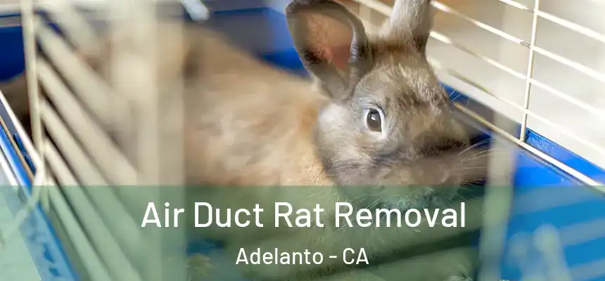  Air Duct Rat Removal Adelanto - CA
