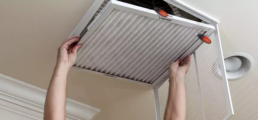 Preventive Cockroach-Proofing for Ducts in Adelanto