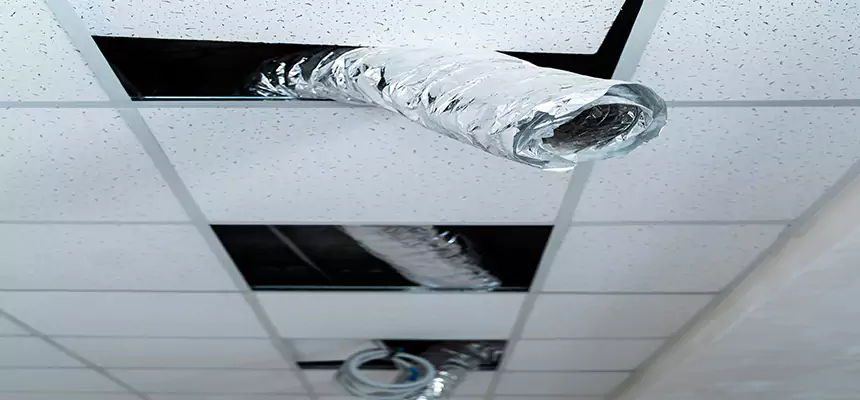 Affordable HVAC Sanitizing After Pest Removal in Adelanto