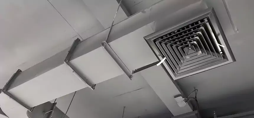 Restorative Allergy Relief Vent Cleaning – Coil, Blower & Housing Detail in Adelanto