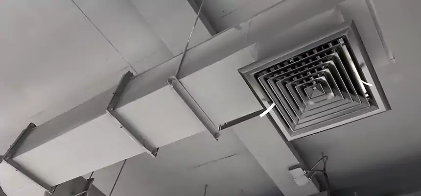 Our Pest Removal From Ducts Services in Adelanto, CA