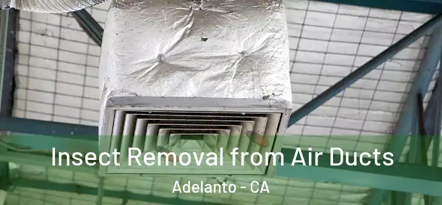  Insect Removal from Air Ducts Adelanto - CA