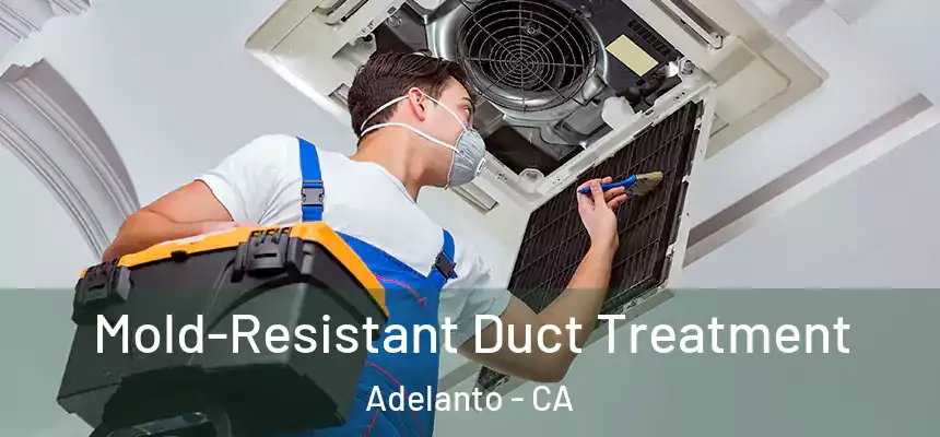  Mold-Resistant Duct Treatment Adelanto - CA