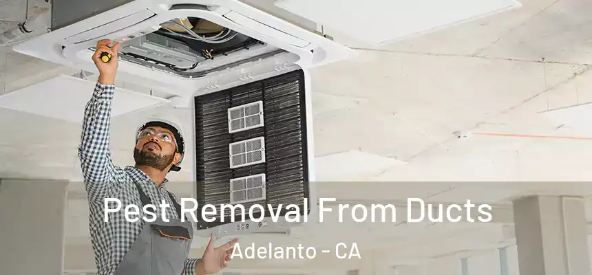  Pest Removal From Ducts Adelanto - CA