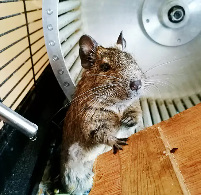 Why Homeowners & Businesses Trust Us Adelanto, CA