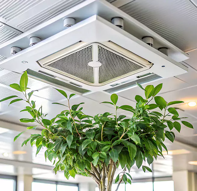 Why Homeowners & Businesses Trust Us in Adelanto, CA?